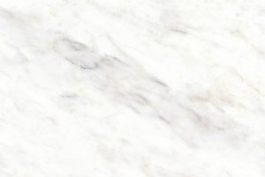 Wasp close up Exo collection Phi by Aurea Stone